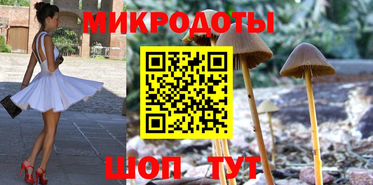 Галлюциногенные грибы прущие грибы Новоалександровск